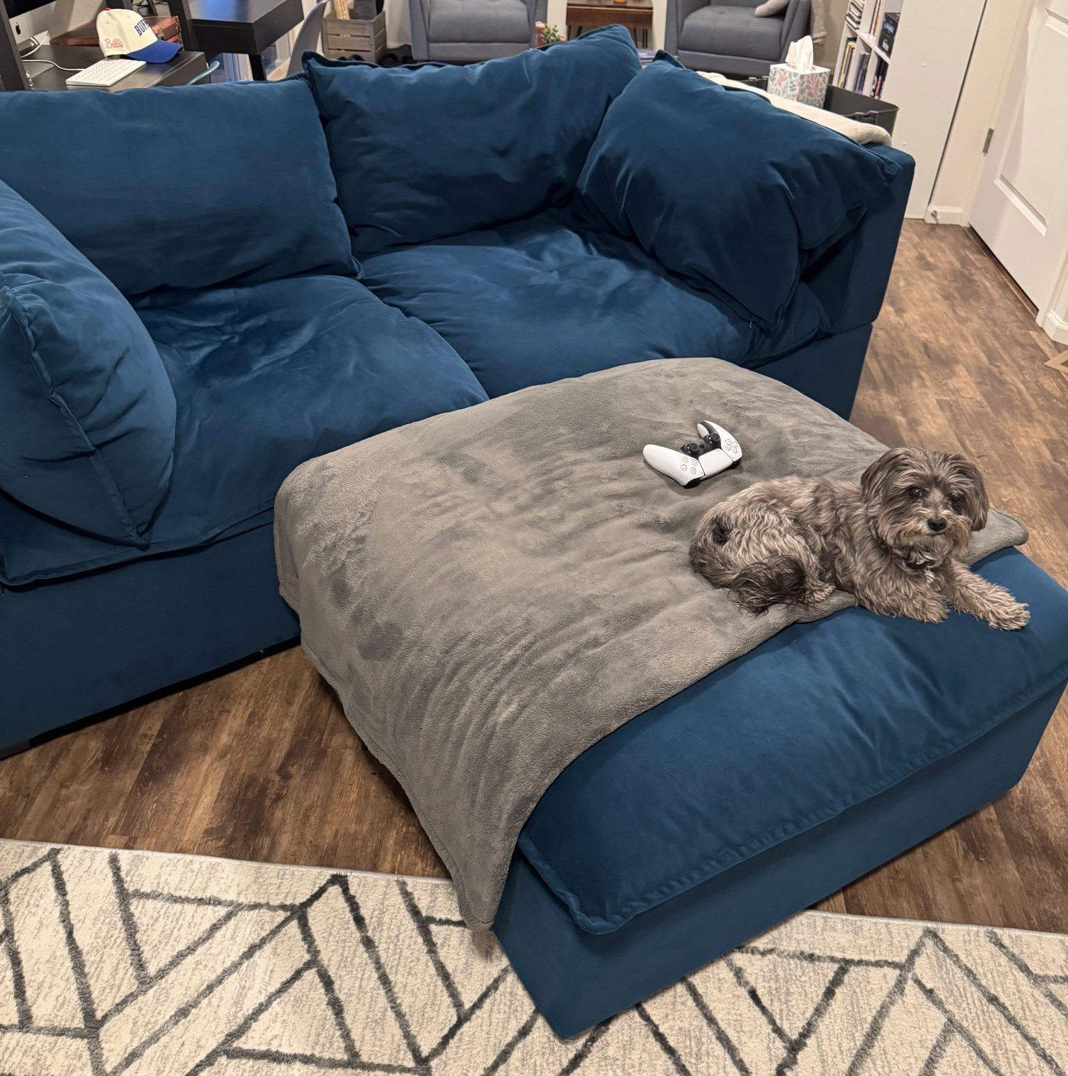 The comfy couch - it’s what it is called in our house. Downstairs in our movie & game room. The gorgeous velvet blue is our absolute favorite.

#LTKHome #LTKSaleAlert