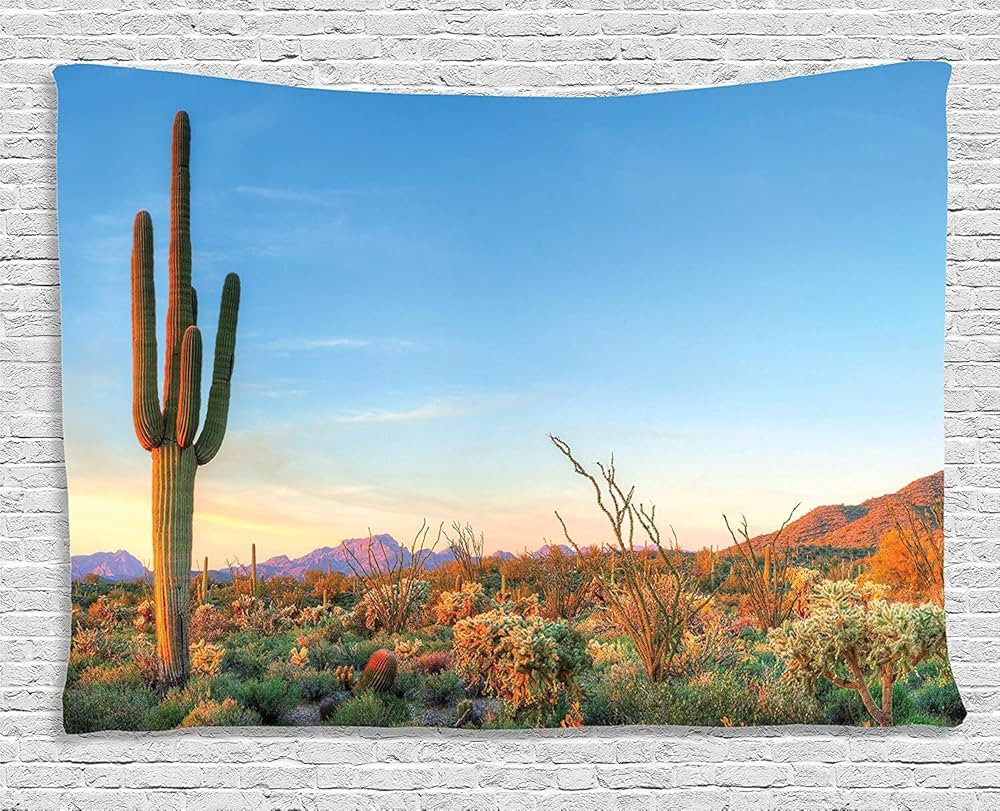Ambesonne Saguaro Tapestry, Sun Goes down in Desert Prickly Pear Cactus Southwest Texas National ... | Amazon (US)