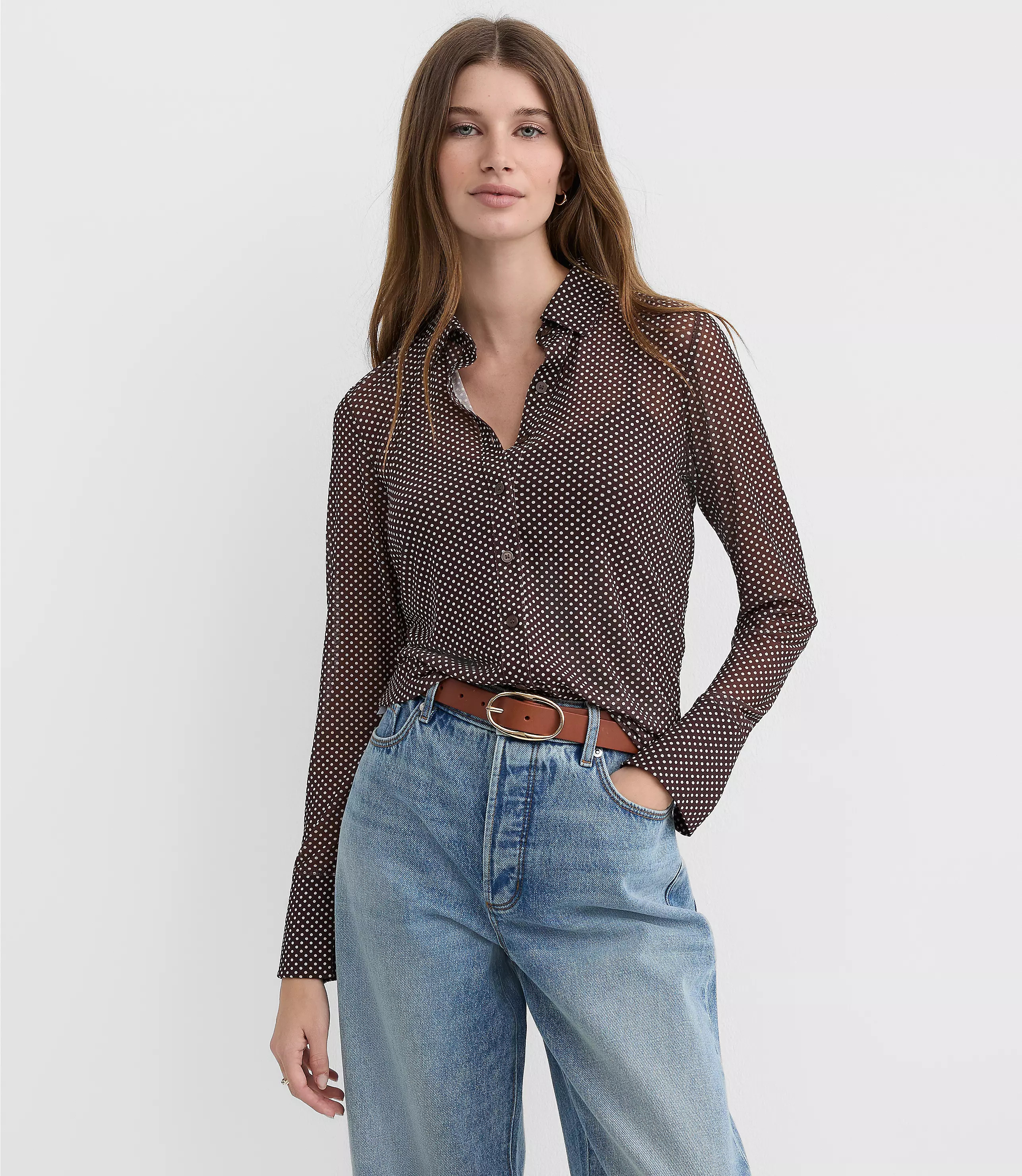 Pindot Sheer Mesh Shirt | LOFT