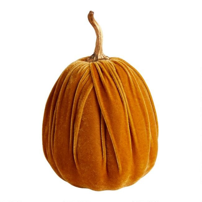 Pier Place Velvet Pumpkin Decor | World Market