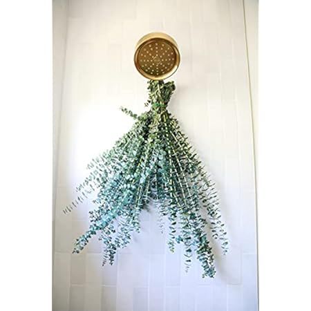 Eucalyptus For Shower [Hanging Ribbon Included] 100% Natural Fresh an Aromatic Self Care Leaves Bund | Amazon (US)