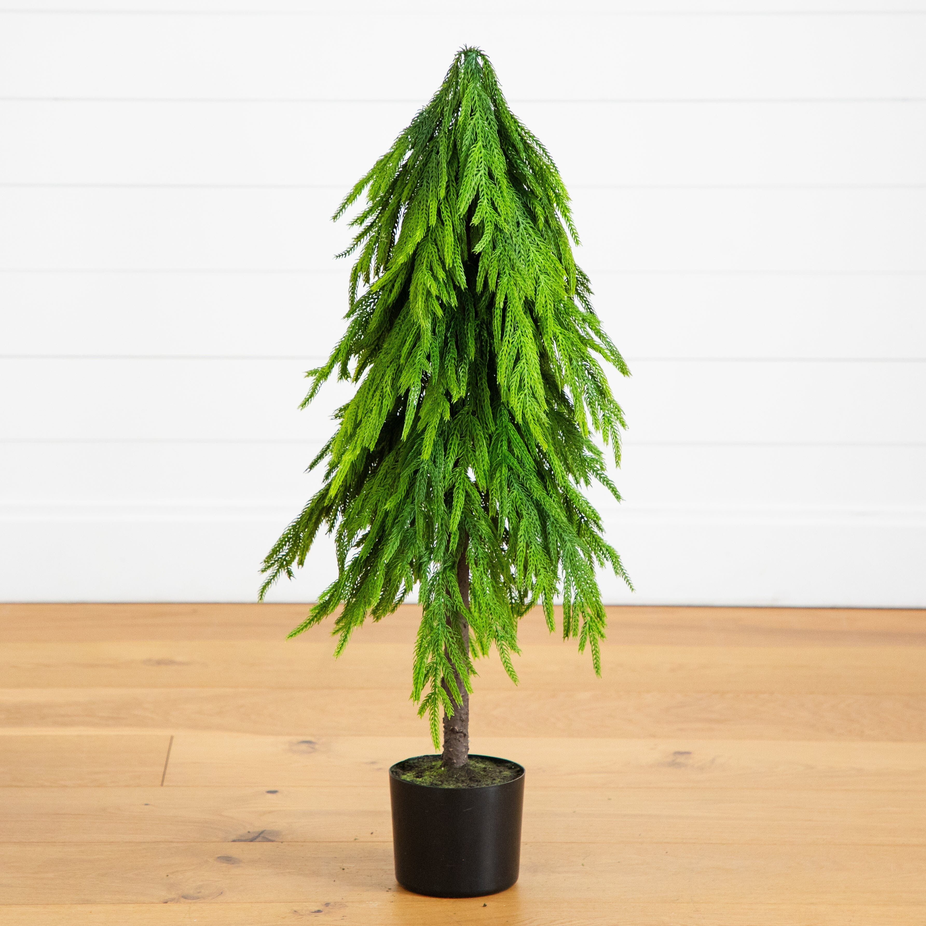 3' Artificial Real Touch Down Swept Norfolk Pine Tree with Natural Loo | Nearly Natural