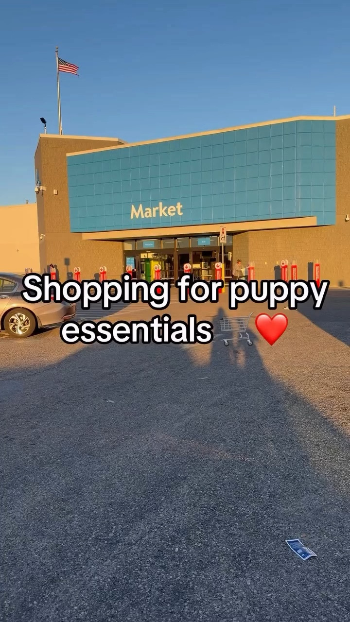 Check out these puppy essentials for our new baby! My husband surprised me with a new puppy! 

#LTKvlog #LTKdayinmylife