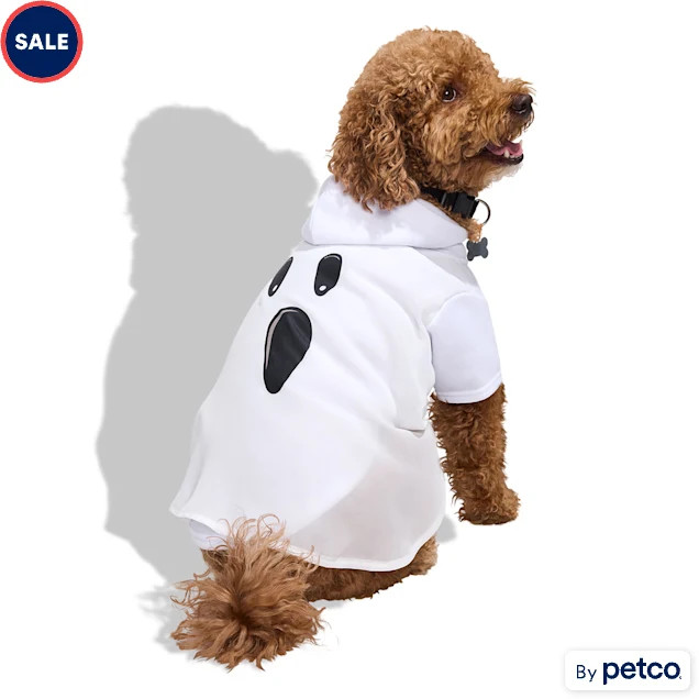 Bootique Classic Ghost Pet Halloween Costume, Medium | Petco