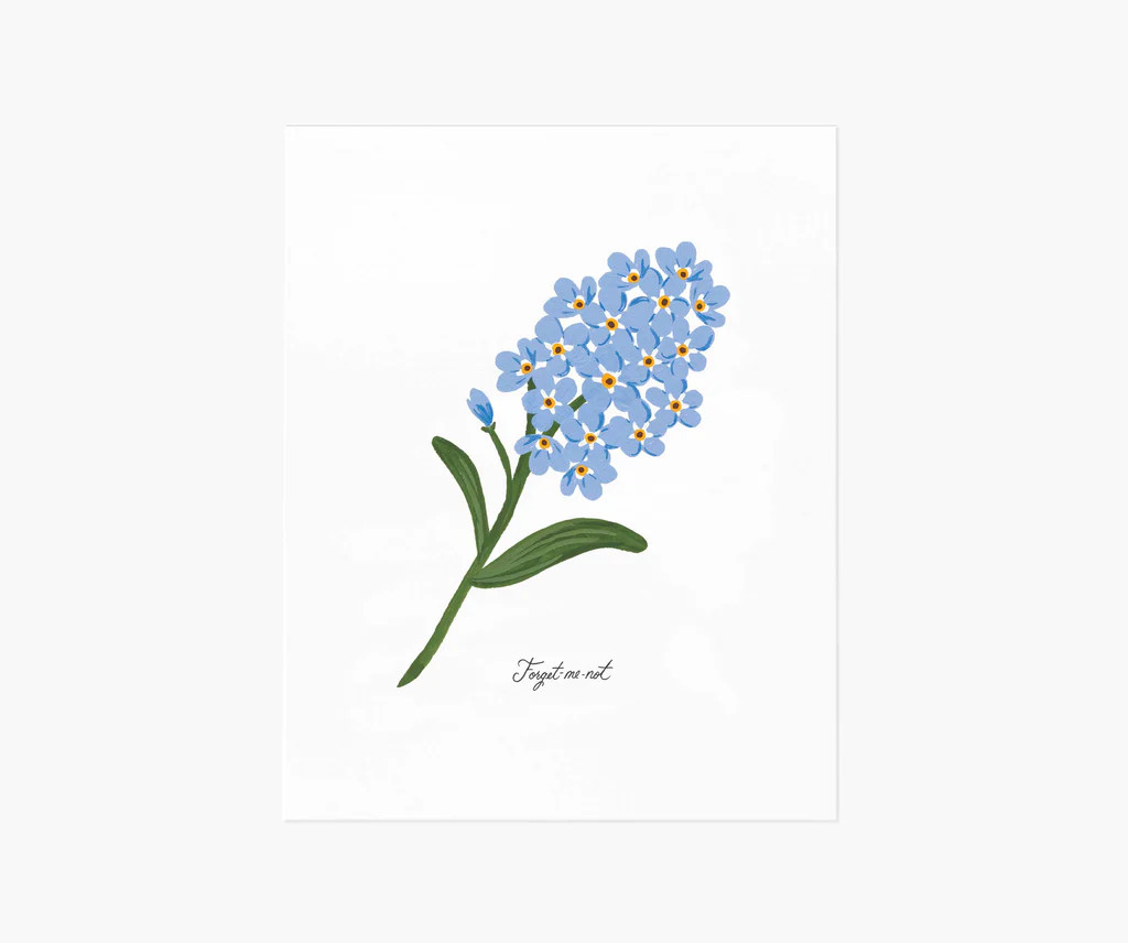 Forget-Me-Not Art Print | Rifle Paper Co.