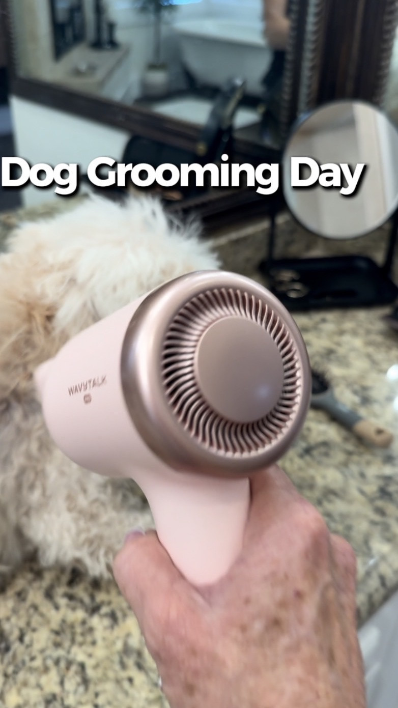 You didn’t hear it from me but… this pink WAVYTALK Turbo Blow Dryer is being PUT TO WORK in our house 😂💕 Not only do I use it on my own hair, but I also use it on all THREE of our dogs — and it handles it like a champ every single time. It’s lightweight, powerful, dries fast, and cut grooming time almost in HALF today 🐶✨ I love products that are pretty AND versatile, and this one seriously delivers. Soft fluffy pups and salon-style blowouts? Yes please 🙌 #LTKHome #WavyTalk #DogMomLife #PetGrooming #AmazonFinds #HairTools #DogBathDay #BeautyAndHome #PinkAesthetic #LTKPets
