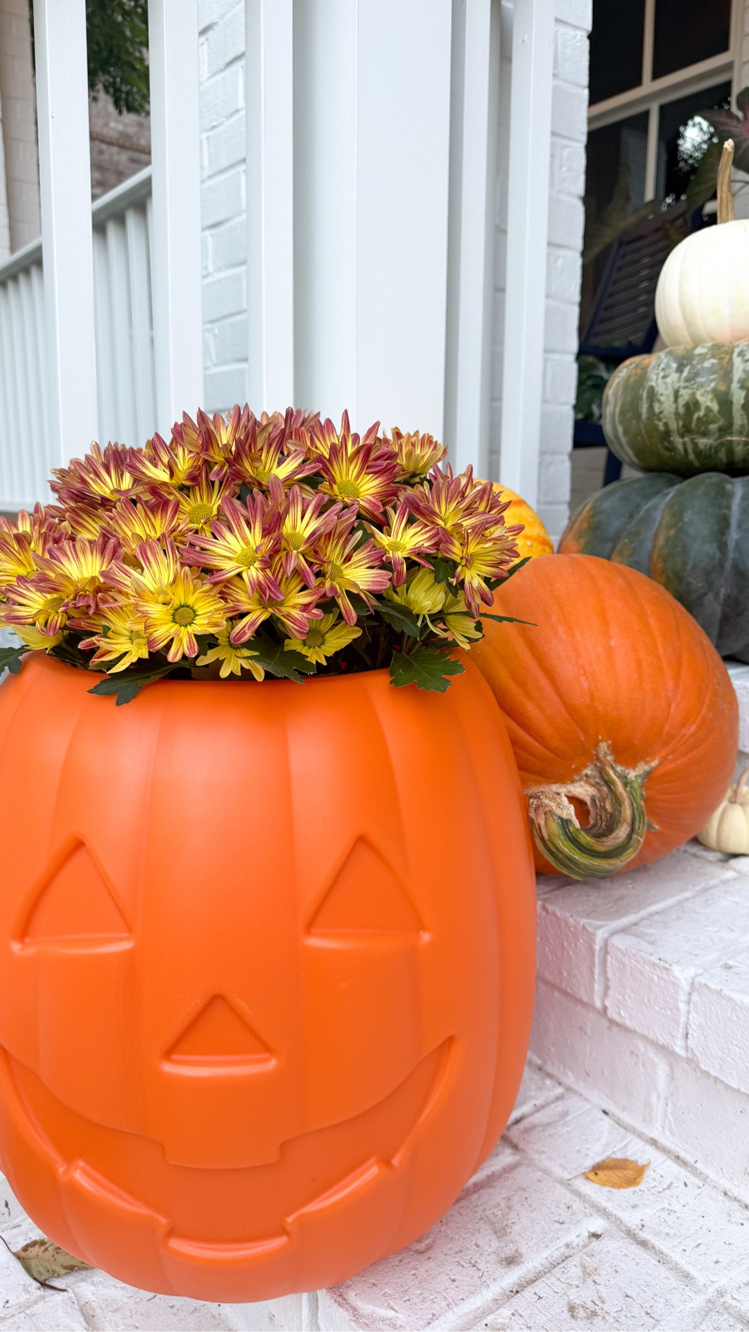 the cutest Halloween decor from Amazon!

#LTKSeasonal #LTKHome
