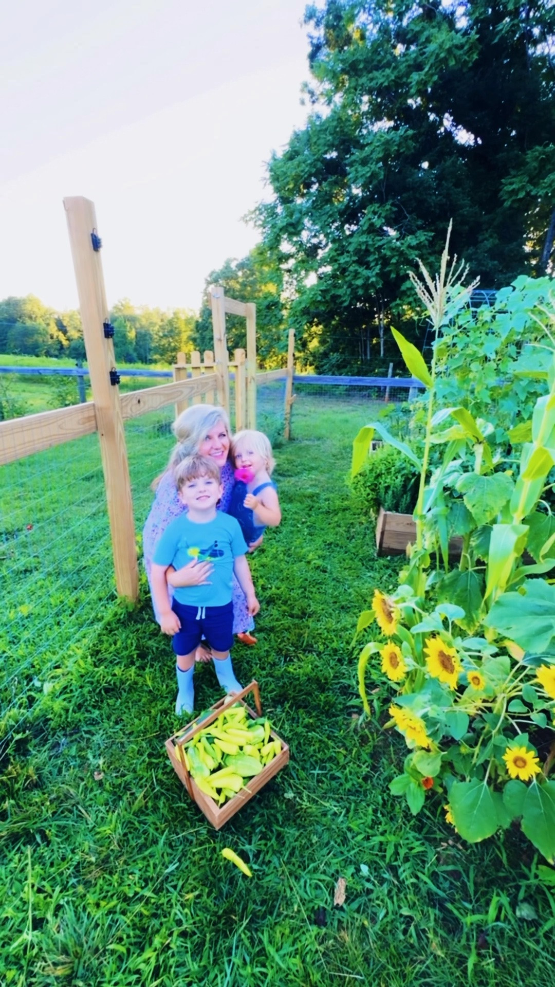 come spend an evening with us out in our country farm garden 🌸👩‍🌾🌾🌻