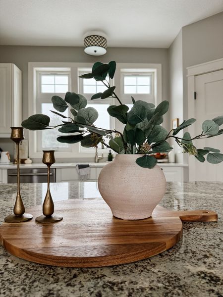 Faux spring stems 🌿

McGee vase, eucalyptus stems, kitchen island decor

#LTKSeasonal #LTKhome