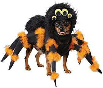 California Costumes Pet Spider Pup Dog Costume Costume | Amazon (US)