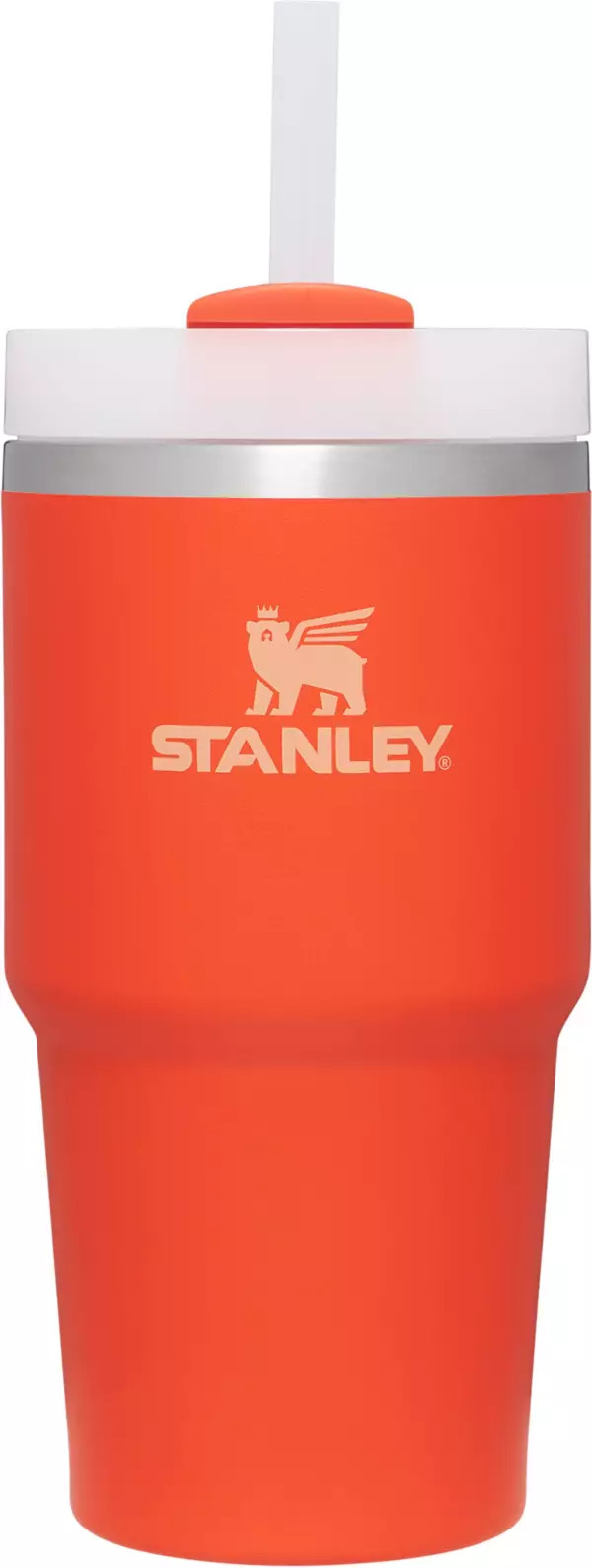 Stanley 20 oz. Quencher H2.0 FlowState Tumbler | Dick's Sporting Goods | Dick's Sporting Goods