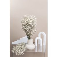 Preserved White Dried Gypsophila - Baby's Breath Flowers | Etsy (US)