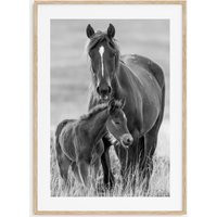 Horse Photo Poster Print No 2, Black & White Wall Art, Photography, Travel, Map | Etsy (US)