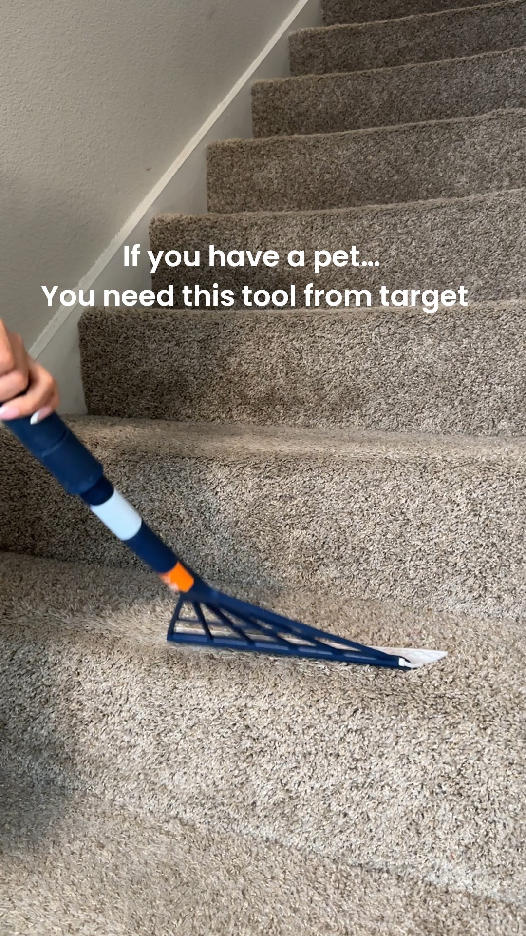 If you have a pet you need this tool. 