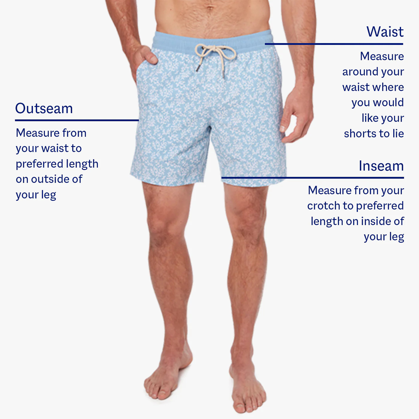 Bayberry Trunk | Fair Harbor