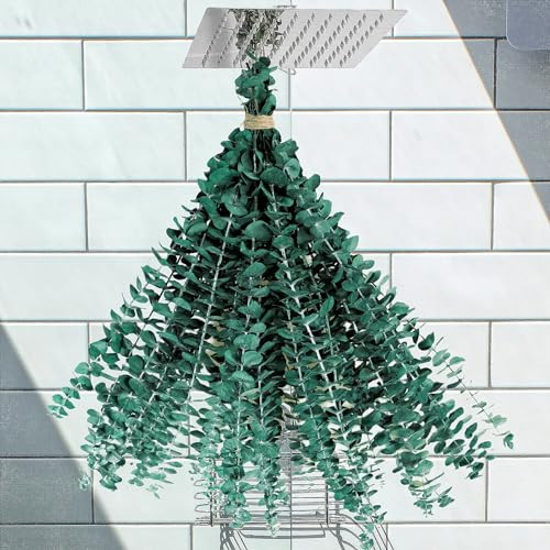 10PCS Dried Preserved Eucalyptus Real Plants: Artificial Eucalyptus Crafted from Fresh Eucalyptus Stems for Shower Hanging, Home, Apartment, Witch, Green, and Boho Bathroom Decor | Amazon (US)