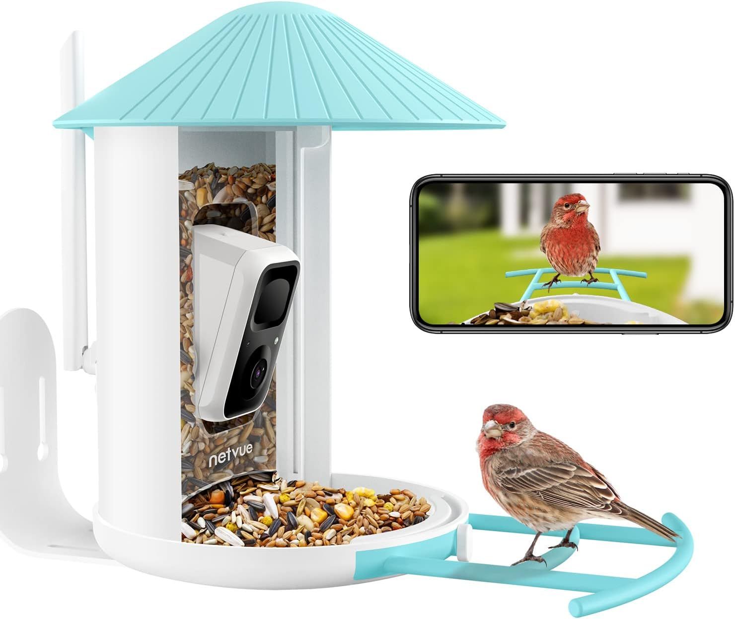 NETVUE Birdfy Lite- Smart Bird Feeder Camera, Bird Watching Camera Auto Capture Bird Videos & Mot... | Amazon (US)