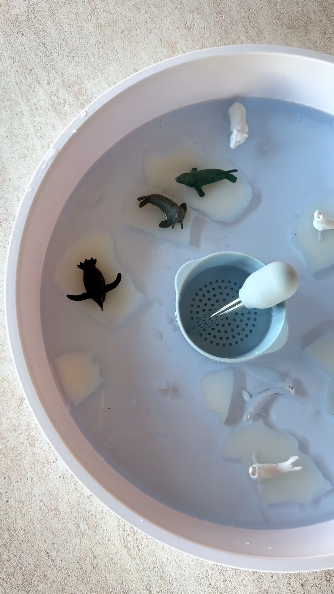 Polar world sensory bin using activity cards from Inspire my Play! 🐻‍❄️🧊

#LTKBaby #LTKKids #LTKmomlife