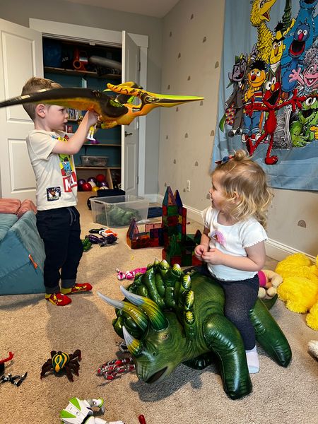 These blow up dinosaurs were a purchase for Luke’s dinosaur birthday 2 years ago! We store them uninflated in the closet and once a month or so blow them all up. SUCH a fun toy for preschool aged kids or birthday parties!
Gifts for kids, playroom, dinosaurs, inflatables, toys for kids 

#LTKGiftGuide #LTKkids #LTKfamily