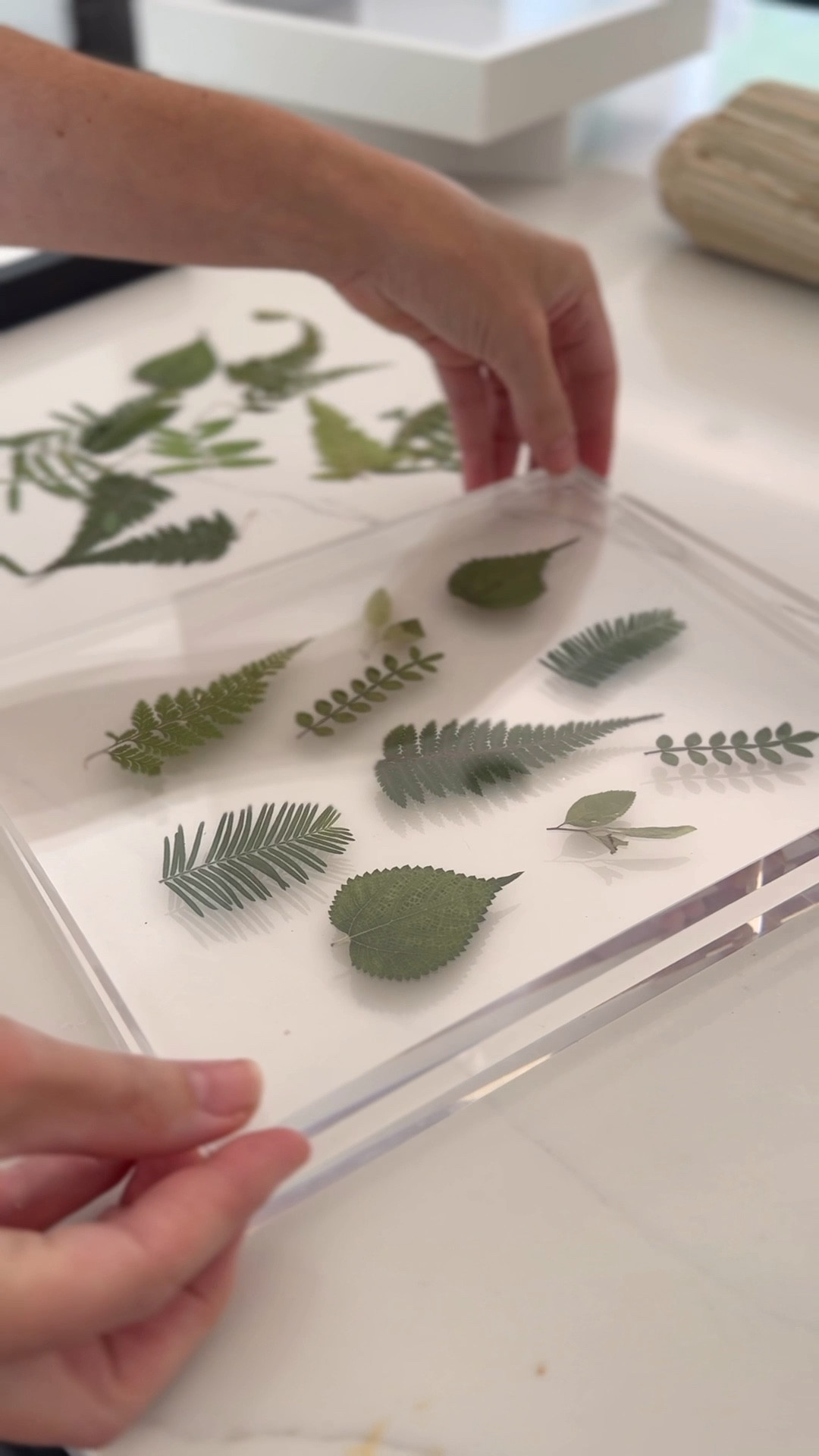 Easy DIY Art Idea! I ordered these pressed botanicals from Amazon and paired them with some of my favorite frames. For the matted frame, I wanted the botanical to pop so I layered it on top of some leftover grasscloth wallpaper that I had from another project. Both frames turned out so pretty and the finished product is a fraction of the cost of what I’ve seen in some home decor shops.

pressed botanicals, botanical wall art, DIY botanical art, framed pressed botanicals, Amazon pressed botanicals, found it on Amazon, Amazon home decor find, botanical wall decor, DIY art project, affordable wall art, easy DIY home decor, budget friendly art idea, botanical frame art, grasscloth wallpaper art, matted botanical print, gallery wall botanicals, custom framed botanicals, nature inspired wall art, DIY framed artwork, Amazon art supplies, botanical print decor, DIY home project, botanical decor Amazon, inexpensive wall art, wall art on a budget, botanical wall prints, botanical picture frame, layering art with wallpaper, grasscloth frame background, Amazon craft find, home decor DIY, botanical gallery wall, organic modern wall art, botanical home accents, timeless botanical prints, DIY budget decor, art idea under $50, botanical frame styling, pressed flower wall art, botanical accent wall, simple DIY art, frame your own art, inexpensive home styling

#LTKHome #LTKStyleTip #LTKFindsUnder50