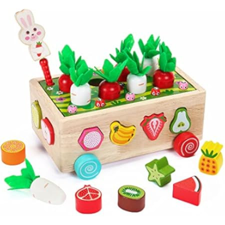 5 in 1 Wooden Montessori Toys for 1 2+ Year Old Boy Girl Educational Harvest Shape Sorter Fishing... | Amazon (US)
