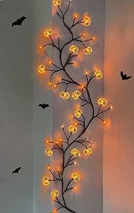 TURNMEON 6 Feet 54 LED Willow Vine Twig Halloween Decorations with Timer 18 Pumpkin Orange Lights... | Amazon (US)