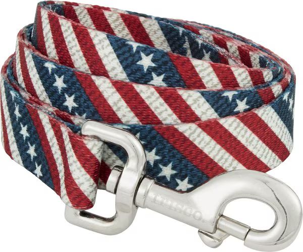 Frisco American Flag Polyester Dog Leash | Chewy.com