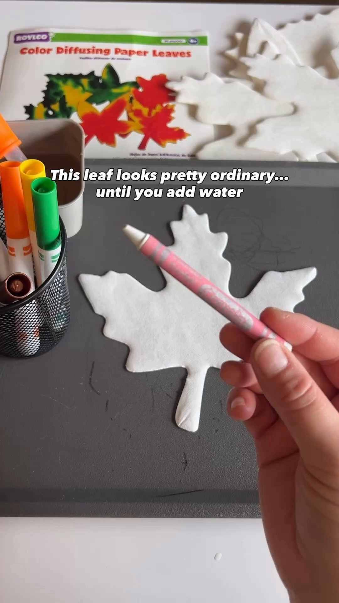 I knew the kids would love watching the colors spread, but even I thought this was pretty cool. 😂🍂

We used a white crayon to draw the leaf veins, scribbled all over them with washable markers, then added water and watched the colors spread.

So simple, but the transformation is SO satisfying to watch. And it’s a fun way to sneak in a little science while you’re at it.

#LTKSeasonal #LTKKids