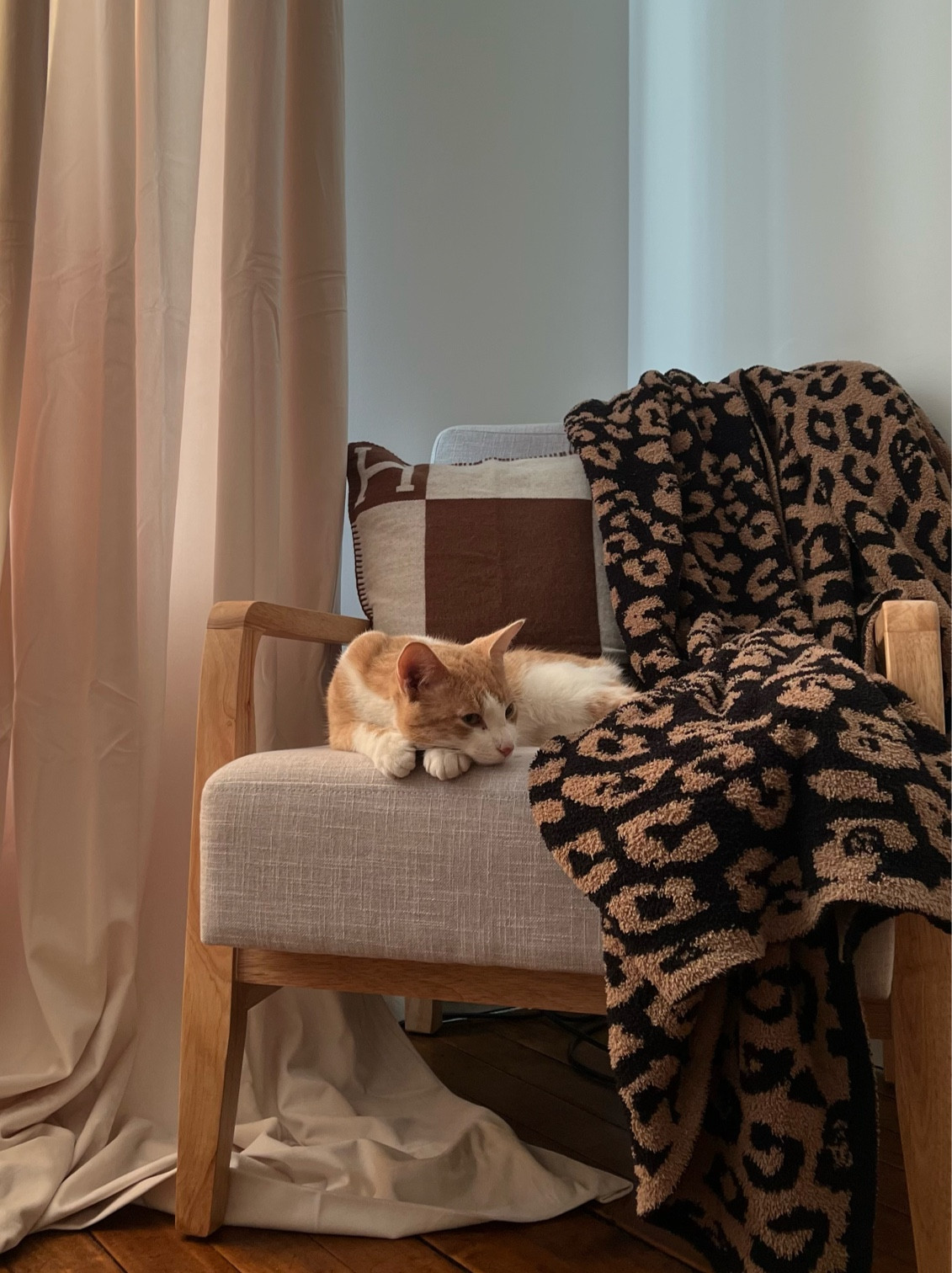 barefoot dreams blanket | amazon velvet curtains 

#LTKhome