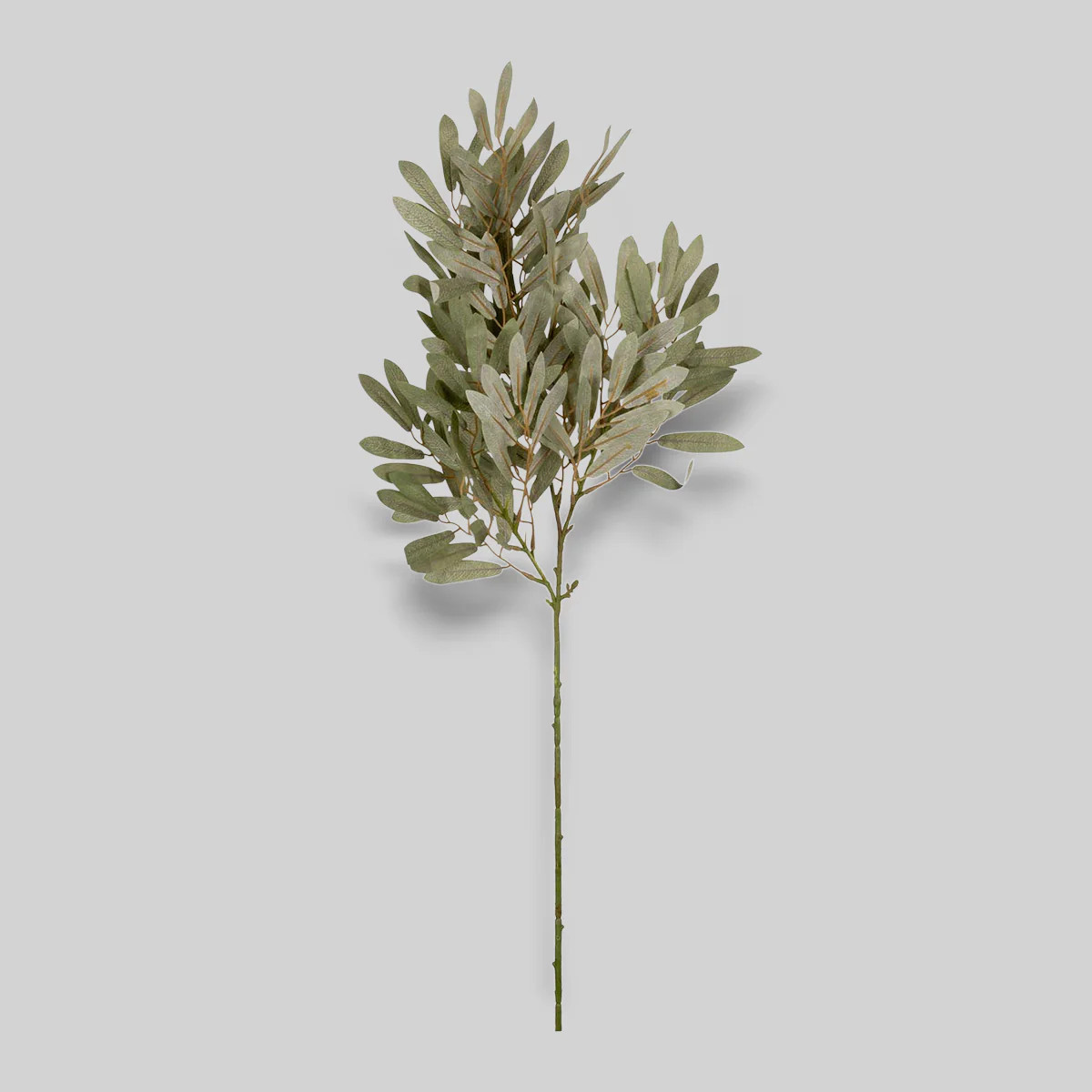 Faux Willow Branch | Soft Green Artificial Willow Eucalyptus Stem | Bloomist, Inc