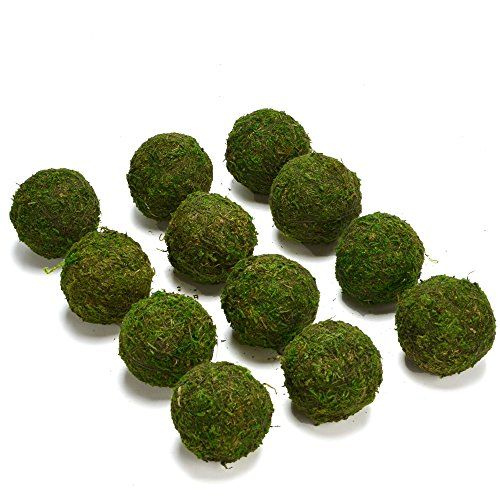 Byher Natural Green Moss Decorative Ball,Handmade (3.5"-Set of 6) | Amazon (US)