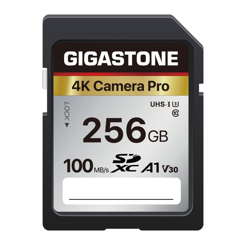 【5-Years Data Recovery】 GIGASTONE 256GB SD Card, 4K Camera Pro, A1 V30 SDXC Memory Card 4K UH... | Amazon (US)