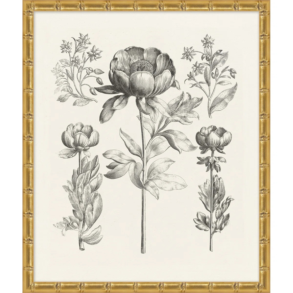 Bessler Study Neutral 4' Framed Graphic Art Print on Glass | Perigold