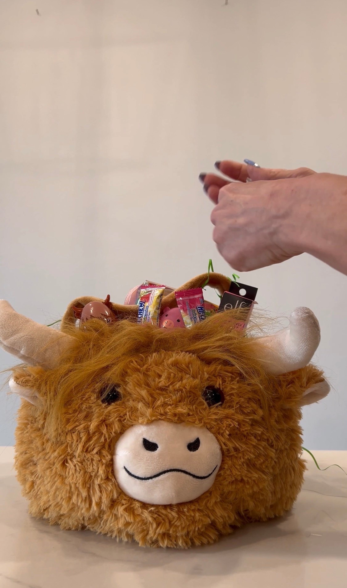 Plush Cow Easter Basket
•
#easter #easterbasket #coweasterbasket #walmartfinds

#LTKKids #LTKSeasonal