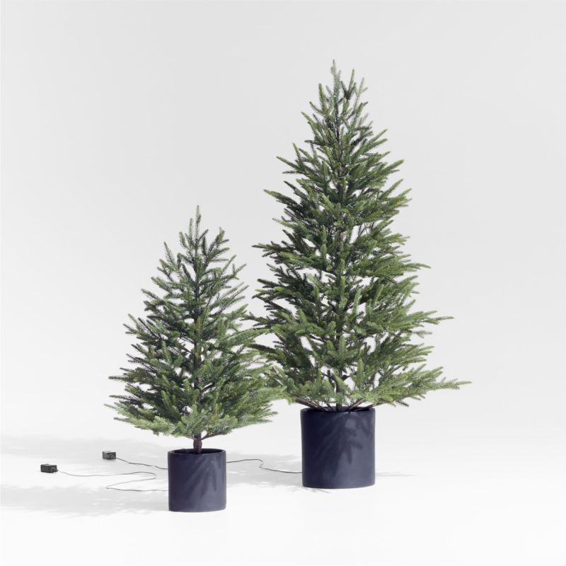 Faux Potted Norway Spruce Pre-Lit LED Christmas Trees with White Lights | Crate & Barrel | Crate & Barrel
