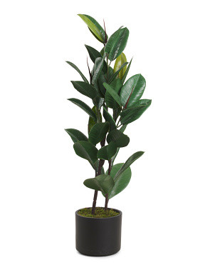 4ft Rubber Tree In Matte Pot | Home Essentials | Marshalls | Marshalls