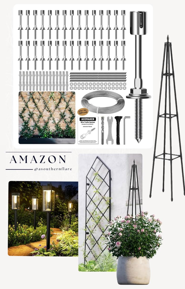 Amazon  | Amazon (US)