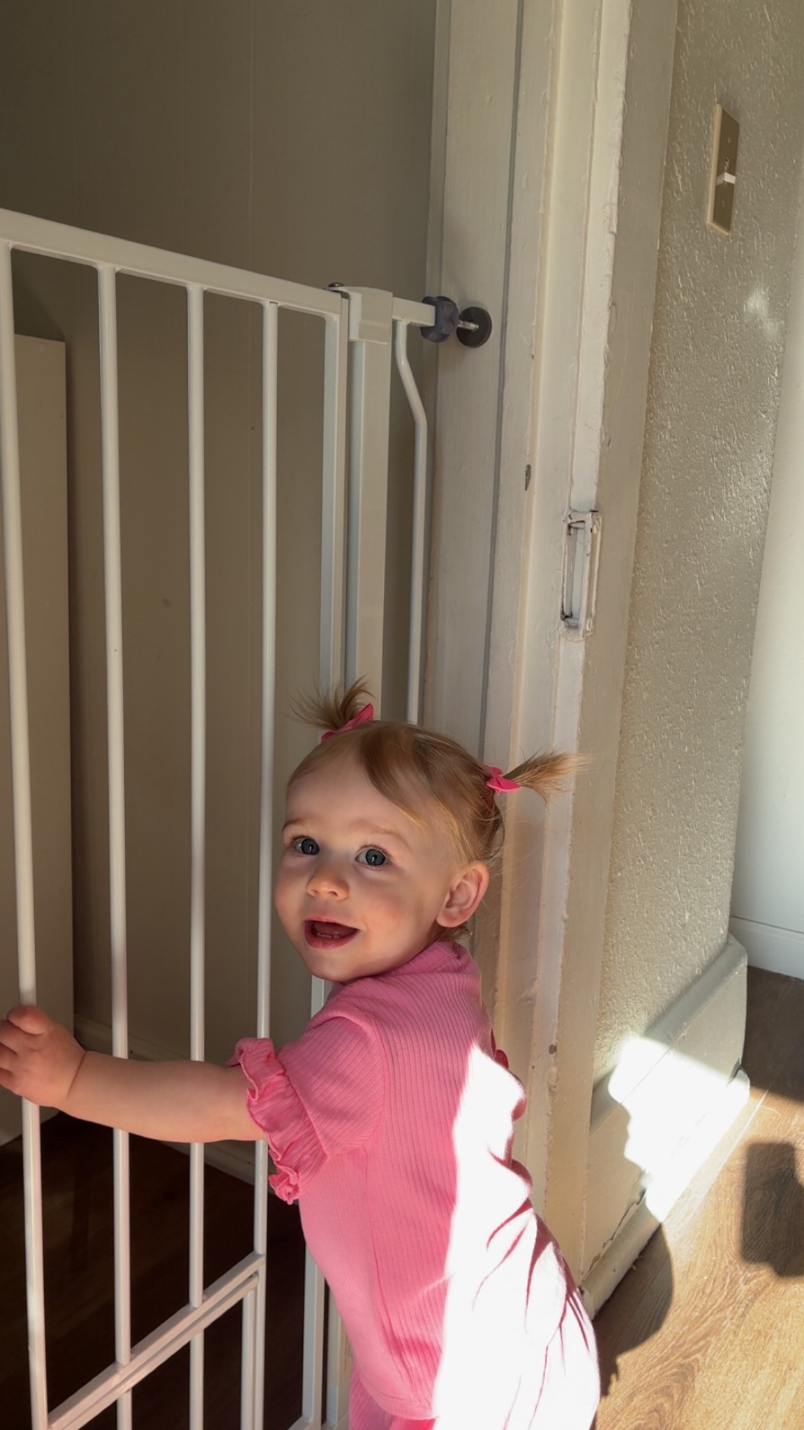 The cutest ponytails for your toddler ￼

#LTKBeauty #LTKBaby #LTKKids