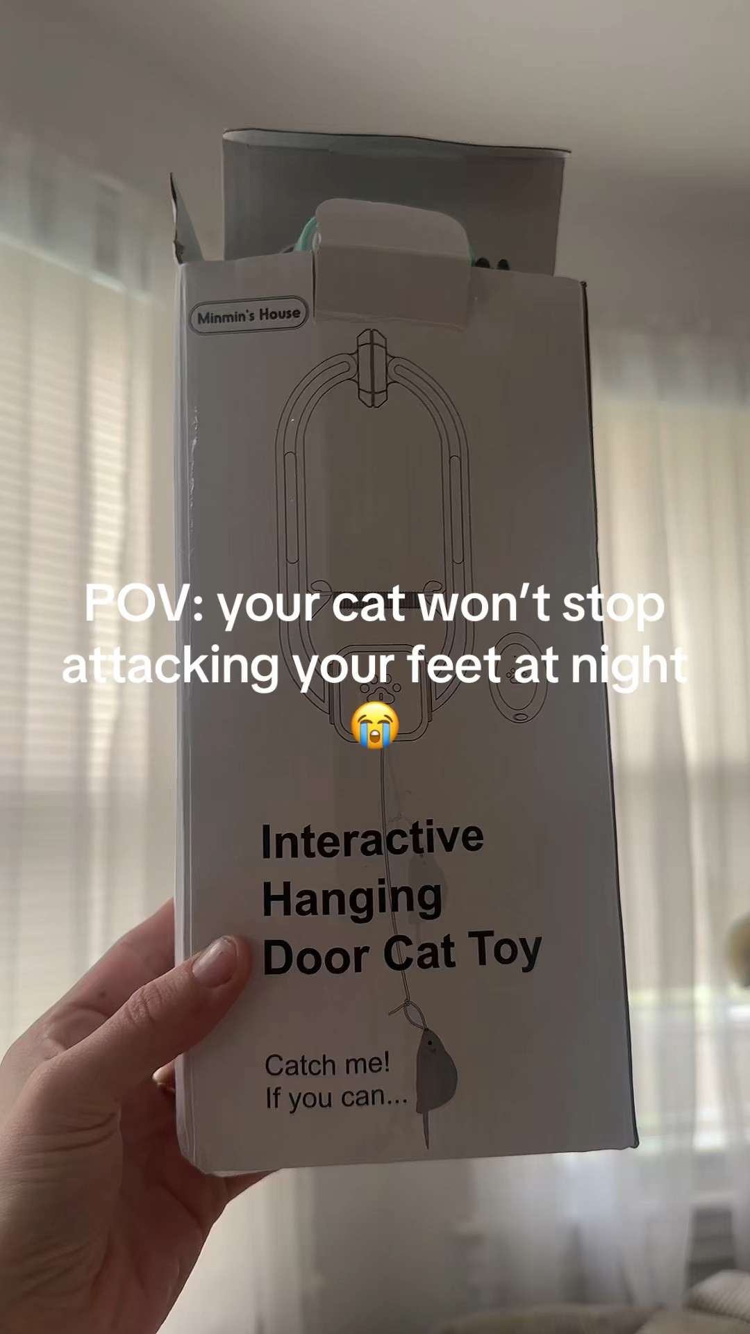 Indoor cats deserve to chase a little bird too