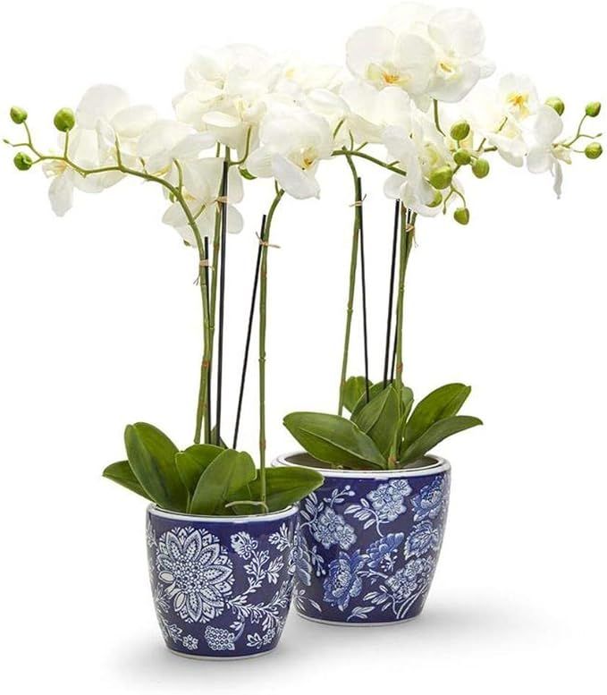 Two's Company Floral Fantasy Blue and White Porcelain Planters, Set of 2 | Amazon (US)