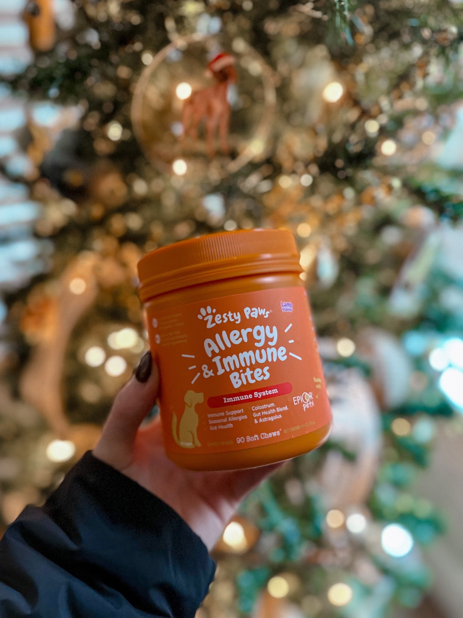 #LTKGiftGuide #LTKHoliday