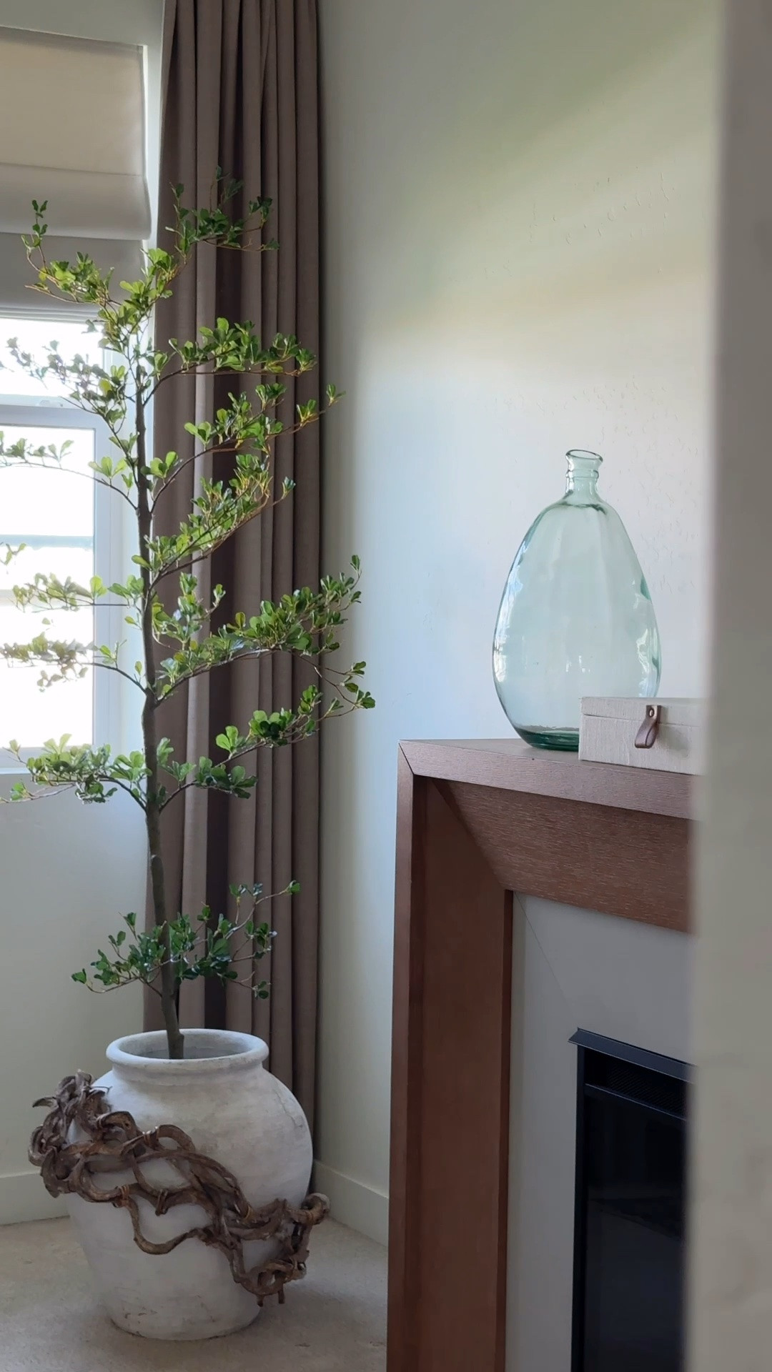 styling that awkward corner with this stunning faux black olive tree from Amazon!!

#LTKHome