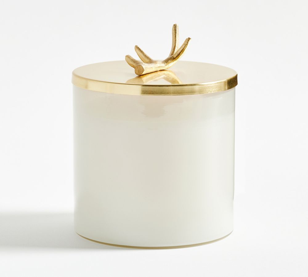 Stag Gold Lidded Scented Candle - Winter Spruce | Pottery Barn (US)