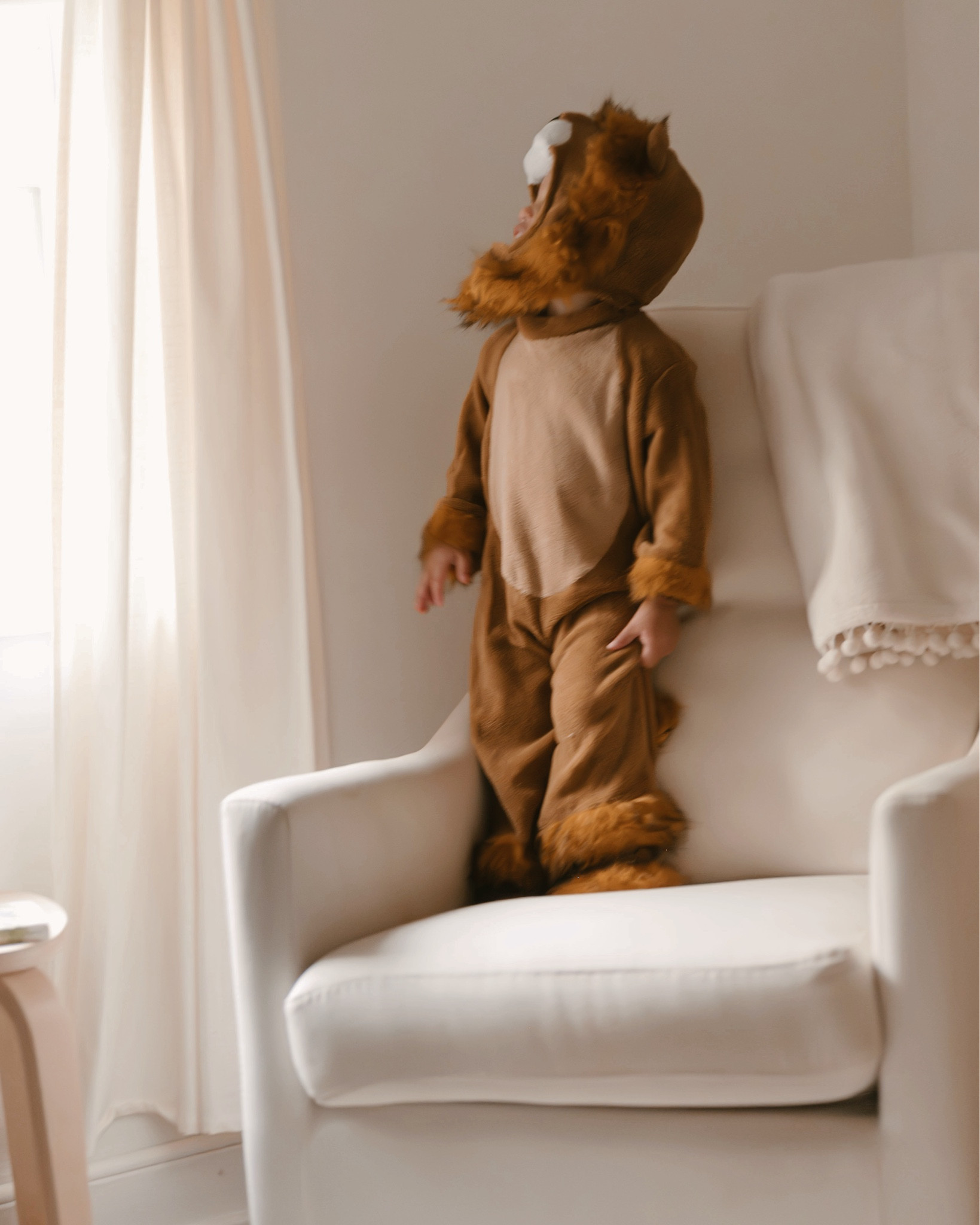 Baby/toddler lion Halloween costume 🦁

Halloween costume, Halloween inspo, baby costume, toddler costume, last minute costume idea, animal costumes, amazon, Amazon costumee

#LTKbaby #LTKkids

#LTKSeasonal