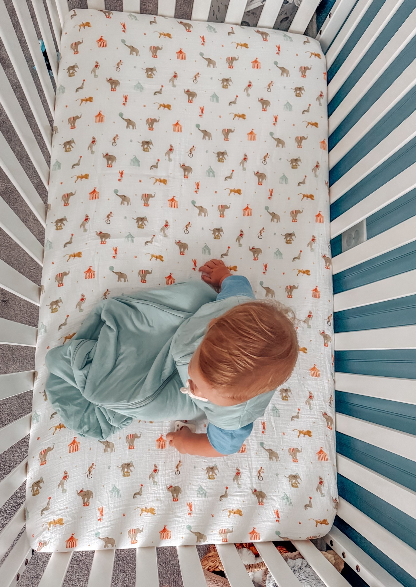 We’ve trusted Halo with keeping our son comfy while sleeping since the day he was born. Now that he’s bigger, we’ve upgraded from swaddles to their various sleep sacks! I love their fun prints and buttery smooth bamboo! 

#LTKBaby #LTKBump #LTKKids