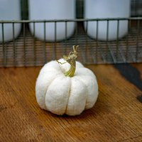 Mini White Fabric Pumpkin With Unique Real Dried Stem Soft Natural Look Bowl Fillers Realistic | Etsy (US)