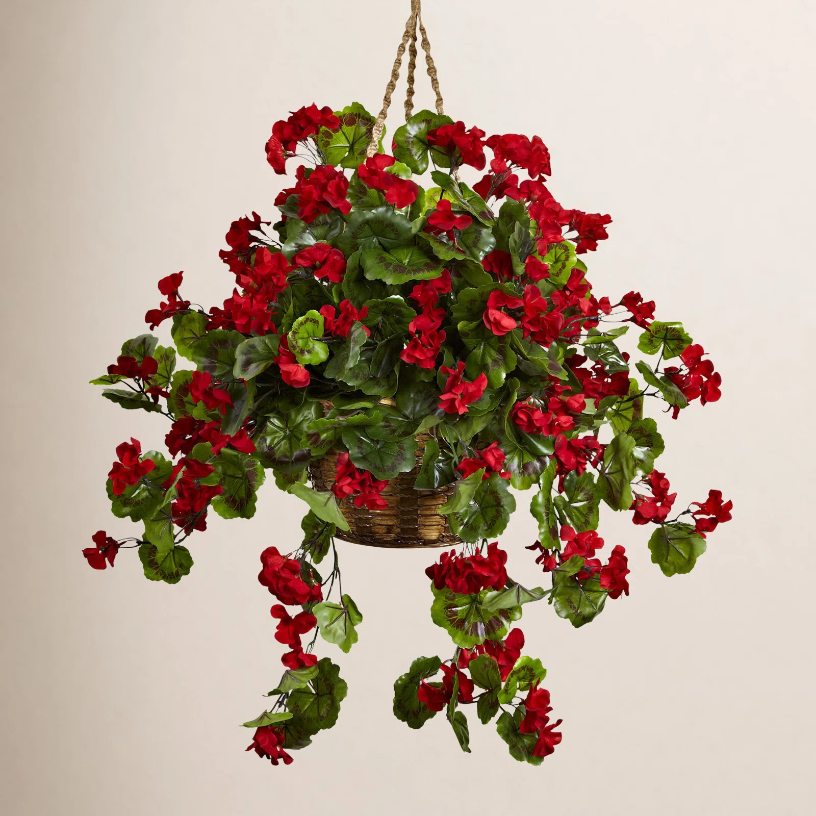 Geranium Hanging Basket UV Resistant (Indoor/Outdoor) | Birch Lane