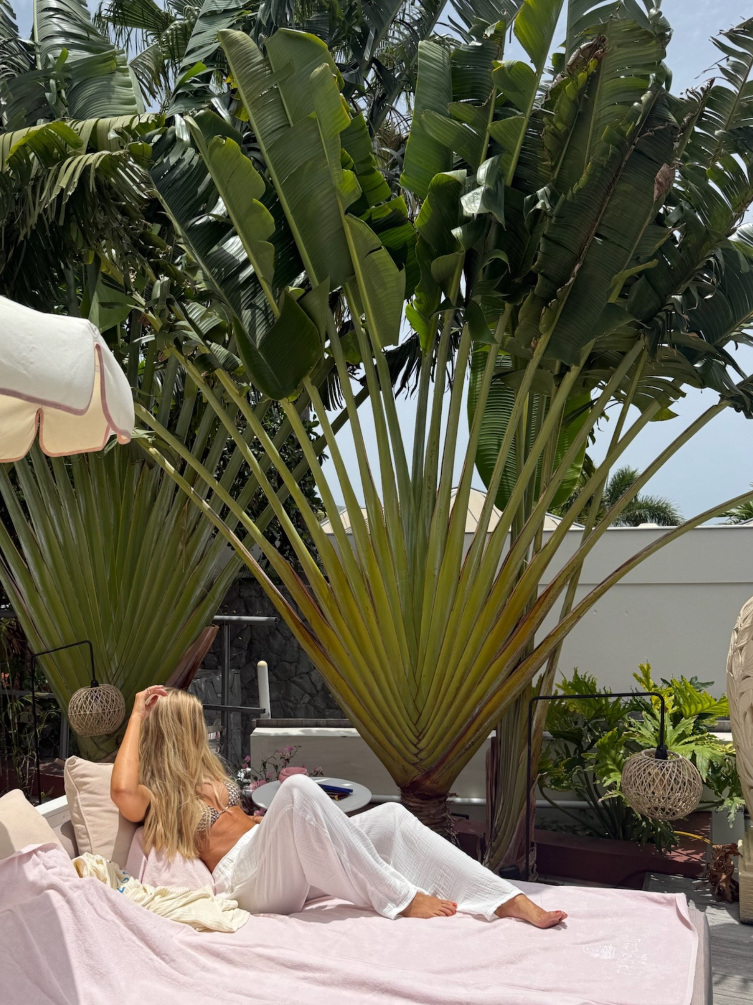 My favorite pants for summer — I got tall! True to size  