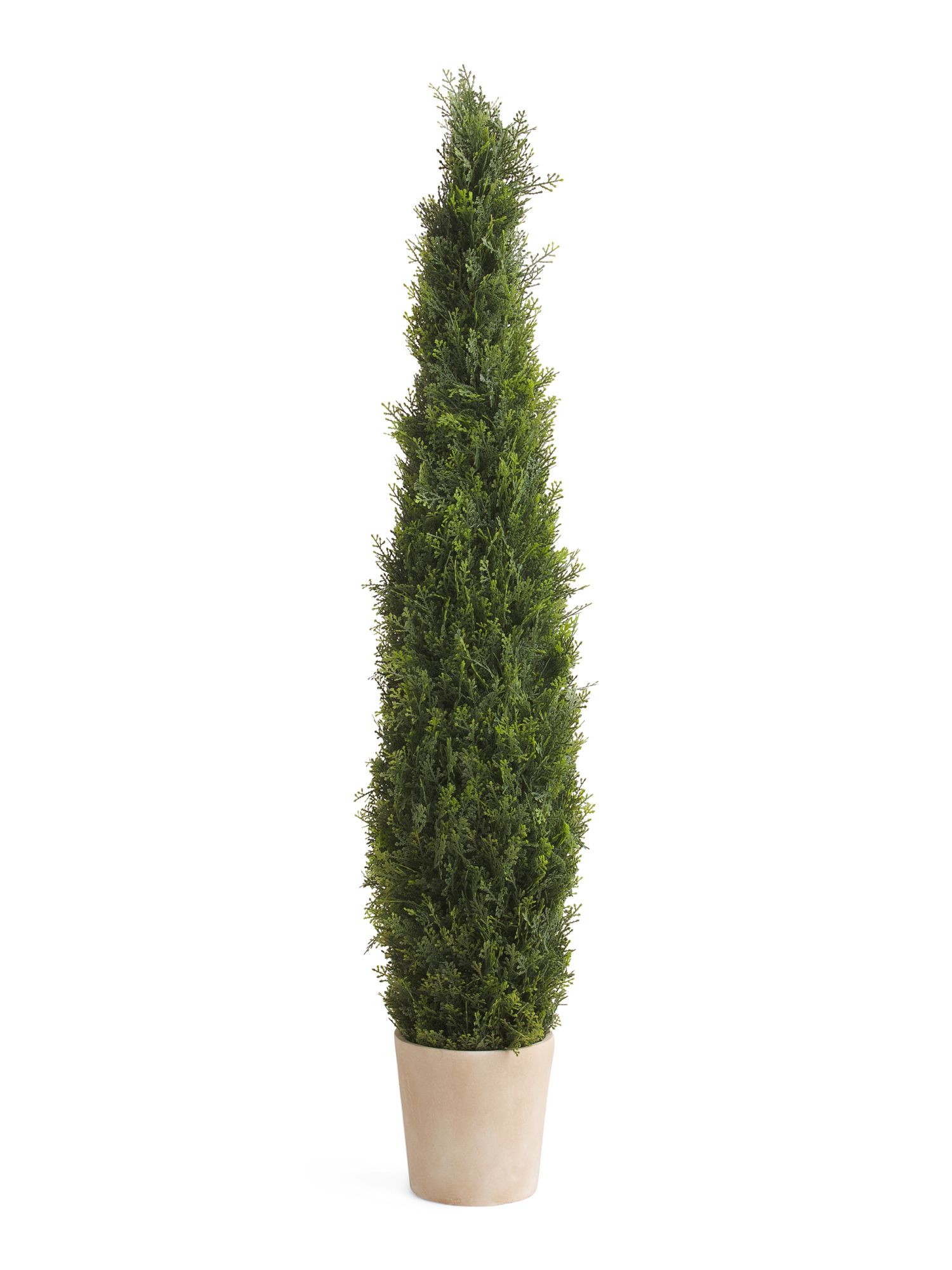 4ft Cypress Tree In Pot | Home Essentials | Marshalls | Marshalls