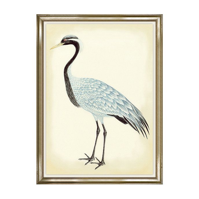 Bunny Williams Bird Art | Ballard Designs, Inc.